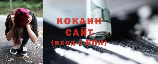 стаф Аркадак