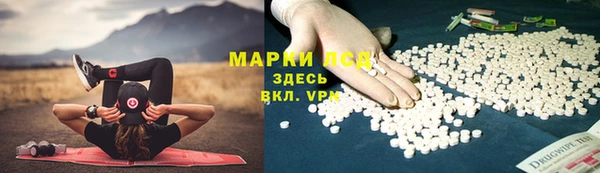 стафф Алзамай