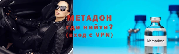 стаф Аркадак
