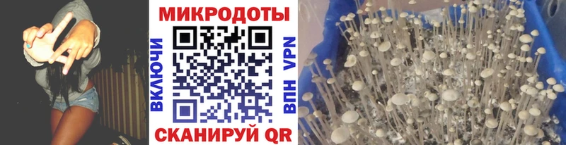 omg маркетплейс  где купить наркотик  Строитель  Псилоцибиновые грибы GOLDEN TEACHER 